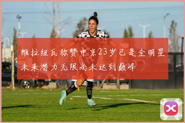 维拉纽瓦称赞申京23岁已是全明星未来潜力无限尚未达到巅峰