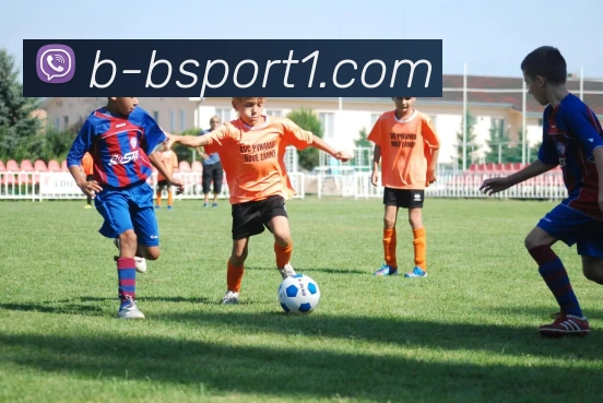 B体育APP 高清赛事图